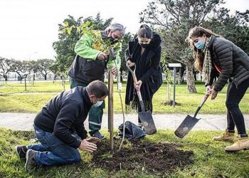 El Gobierno porteño plantará 16 mil árboles