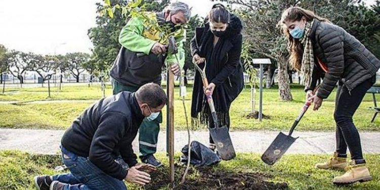 El Gobierno porteño plantará 16 mil árboles