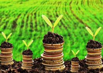 El inesperado aporte del sistema financiero al cuidado del ambiente