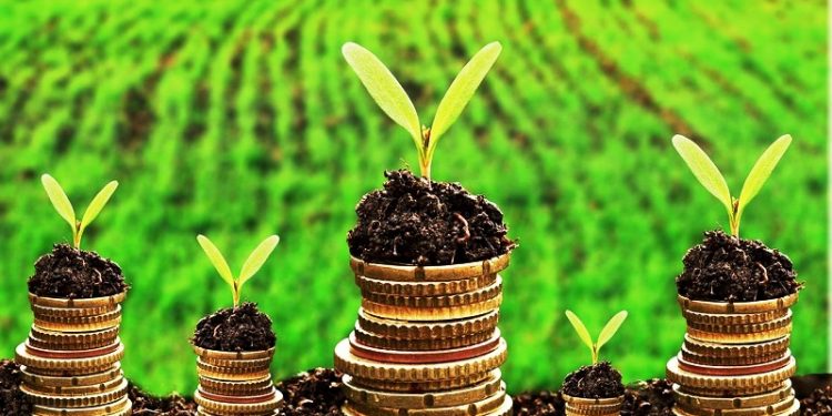 El inesperado aporte del sistema financiero al cuidado del ambiente