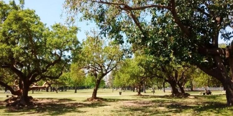 Arquitectos y vecinos discutirán sobre el Arroyo Medrano a cielo abierto