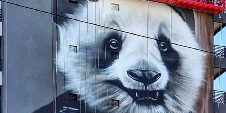 Panda pandemial, lo nuevo de Alfredo Segatori