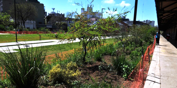 Parque de la Estación: de galpón abandonado a espacio verde y vacunatorio