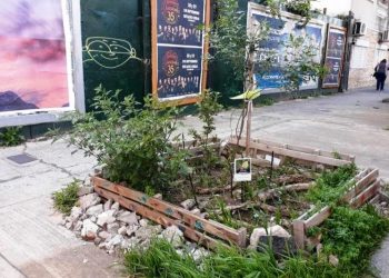 La Ciudad necesita medio millón de árboles para recuperar la biodiversidad