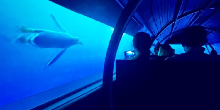 Estación Oceánica en el Ecoparque