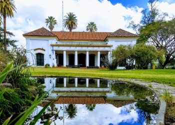 El Gobierno porteño quiere abrir un bar en una biblioteca pública