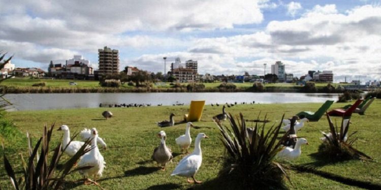 Remarcan la necesidad de políticas sustentables para Punta Mogotes