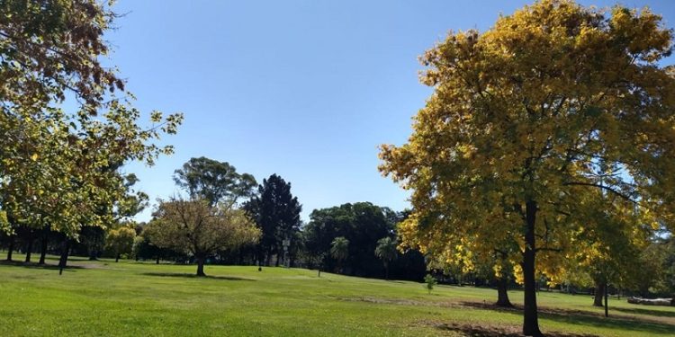 El gobierno confirmó que reabrirá 400 metros del arroyo Medrano en Parque Saavedra