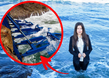 Una mujer que revolucionó la industria de la Energía Undimotriz con su invento