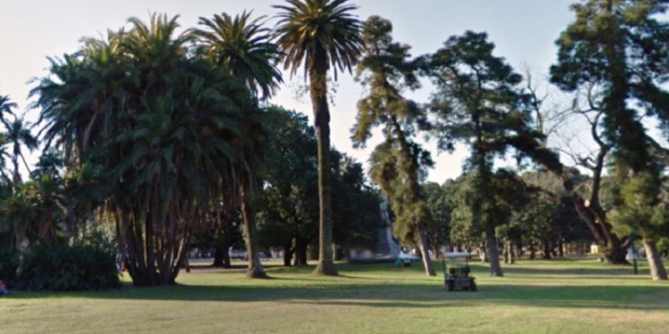 Se lanzó Arbopedia, con datos oficiales sobre el arbolado público porteño