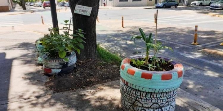 Huertas en las vereda de Villa Santa Rita