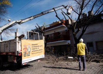 Ordenan al Gobierno porteño suspender podas y extracciones del arbolado público