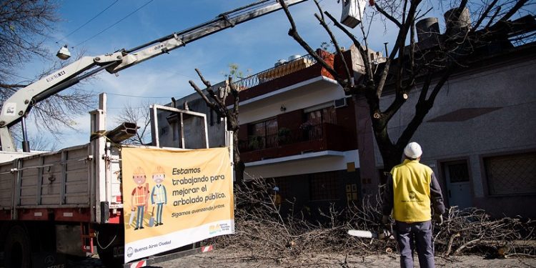 Crece el reclamo contra la política de arbolado del Gobierno de la Ciudad