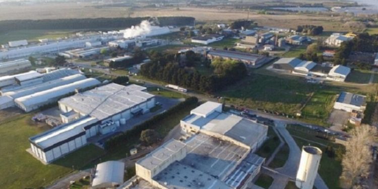 “Es clave para el desarrollo de las empresas marplatenses que haya proveedores locales de tecnologías”