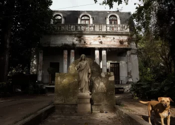 La casona de La Plata que esconde un invaluable tesoro amenazado por el abandono