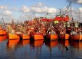 Intentan salvar las lanchas amarillas del puerto de Mar del Plata