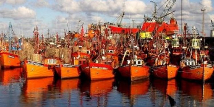 Intentan salvar las lanchas amarillas del puerto de Mar del Plata