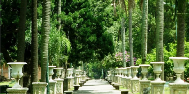 Proponen crear un “fondo para la infraestructura verde” para la Ciudad