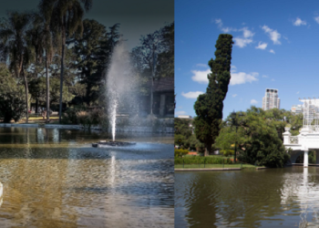 Asociación de Amigos de Parques en Rosario y Buenos Aires