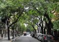 Buenos Aires celebra el Día del Árbol con nuevas plantaciones