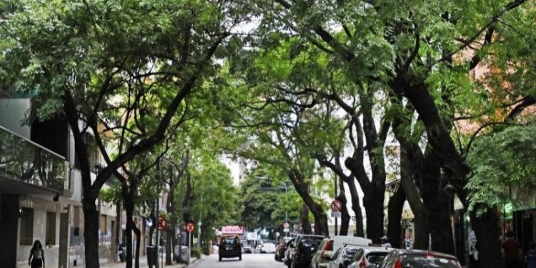 Buenos Aires celebra el Día del Árbol con nuevas plantaciones