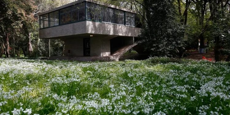 La Casa sobre el Arroyo podría visitarse para fin de año