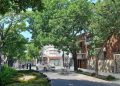 Reclaman al Banco Mundial que no financie la obra de la “calle verde” de Castro