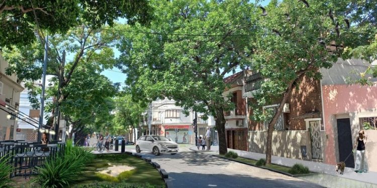 Reclaman al Banco Mundial que no financie la obra de la “calle verde” de Castro