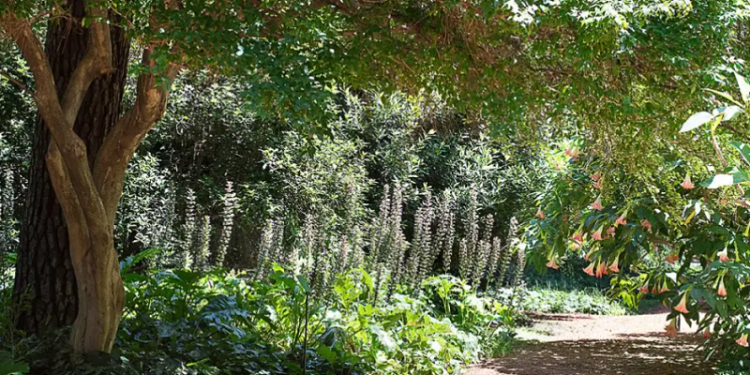 Carlos Thays y su legado: el Jardín Botánico