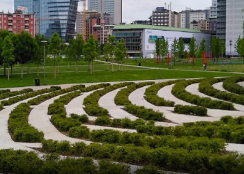 Reforestar las ciudades, el desafío del futuro
