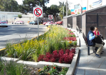 Urbanismo regenerativo. Jardines de lluvia y veredas verdes.