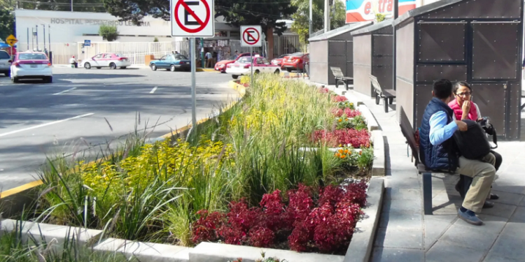 Urbanismo regenerativo. Jardines de lluvia y veredas verdes.