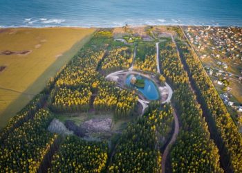 Tipantú Bosque de Mar: un proyecto de familias marplatenses