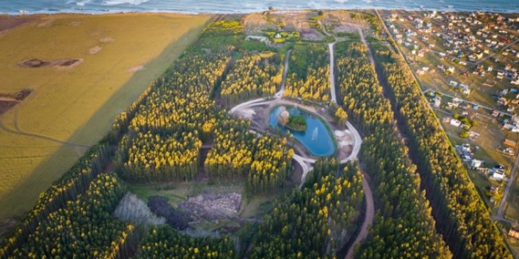 Tipantú Bosque de Mar: un proyecto de familias marplatenses