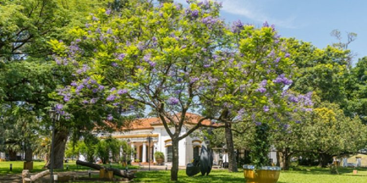 Compromiso para el cuidado ambiental en el Museo Saavedra