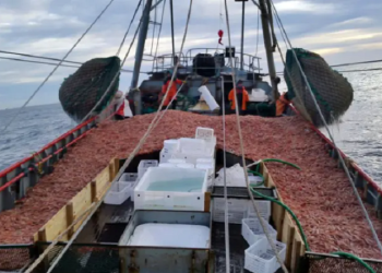 Medidas para que buques pesqueros reduzcan contaminación marina