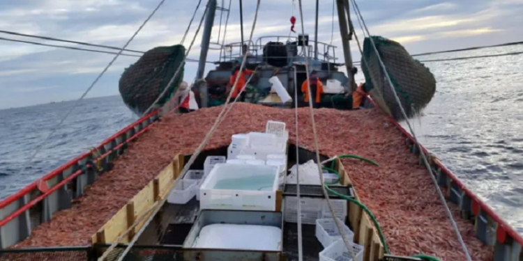 Medidas para que buques pesqueros reduzcan contaminación marina