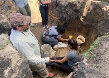 Asistencia técnica del Museo Scaglia en rescates paleontológicos de Necochea