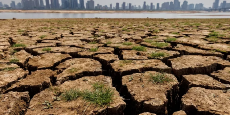 El 86 por ciento de los porteños están preocupados por el calentamiento global