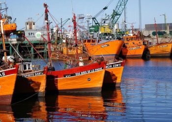 ¿Cuál será el futuro de las lanchitas amarillas del puerto?