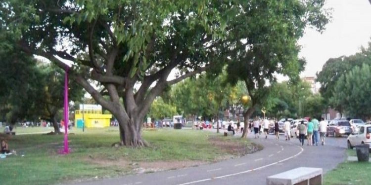 Vecinos impulsan una petición en apoyo a una ley para proteger al Parque Saavedra