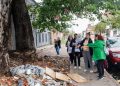 Hay un árbol cada 282 habitantes en barrios populares del sur porteño