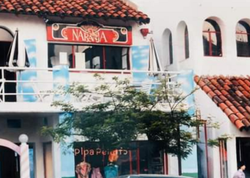 Naranjas voladoras – Reflexiones de Homero González Sangorrin