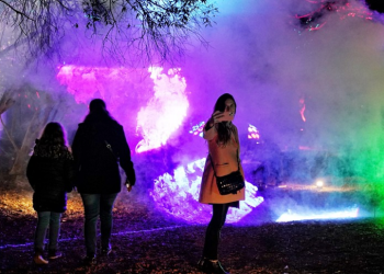 Crece la polémica por el uso del Botánico para un show privado