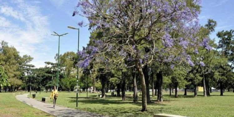 Vecinos de Saavedra buscan proteger al parque