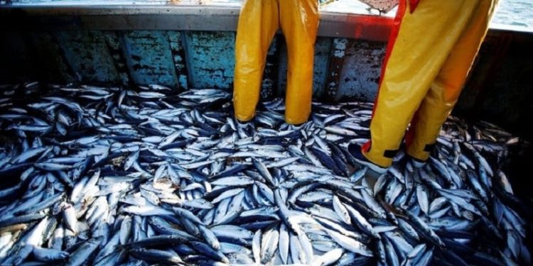 La “muerte del mar”: cómo es la principal catástrofe ambiental