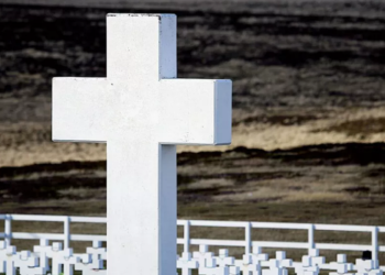 Comienza la construcción de la recreación del Cementerio de Darwin