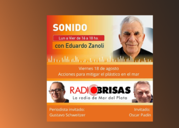 Acciones para mitigar el plástico en Mar del Plata