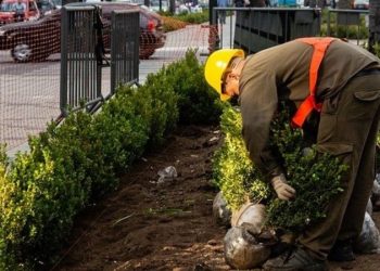 Retoman las obras para mejorar bulevar Oroño
