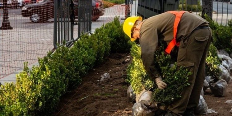 Retoman las obras para mejorar bulevar Oroño